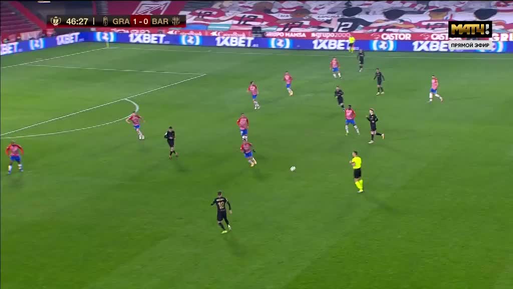 迈阿密马林鱼名将费南德兹因意外逝世后，其 16 号球衣成为马林鱼队永久的精神支柱