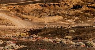 2025 年 12 月 27 日：西雅图水手正式签下自由球员外野手雷夫斯奈德（Rob Refsnyder），合同为期 1 年