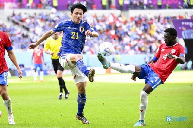 能评价和激 能评价和激